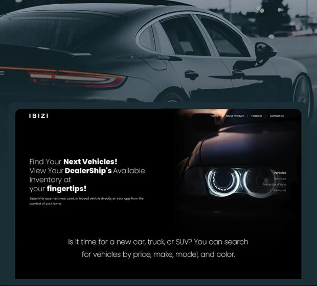 IBIZI: Demand Generation through Segmented Targeting - Automotive Case Study